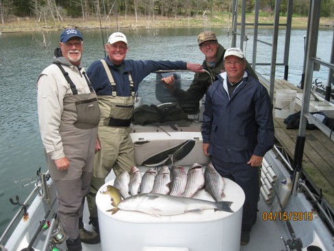 Nice Striped Bass